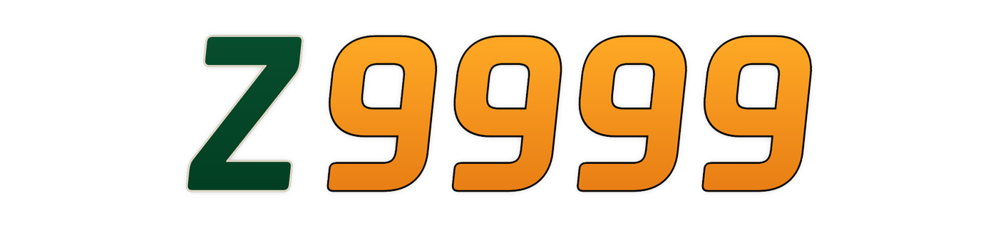 z9999 Logo